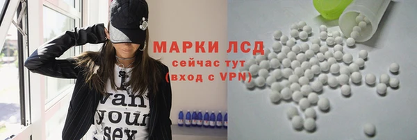крисы Новокубанск