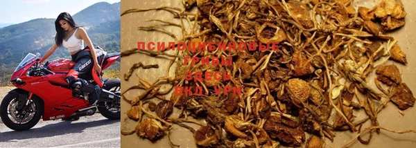 экстази Новодвинск
