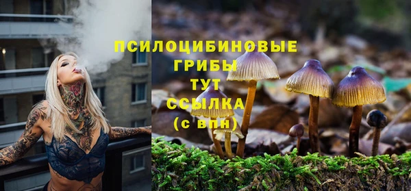 прущая мука Нефтекумск