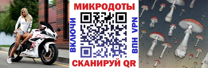 Галлюциногенные грибы Psilocybe  hydra маркетплейс  Лебедянь 